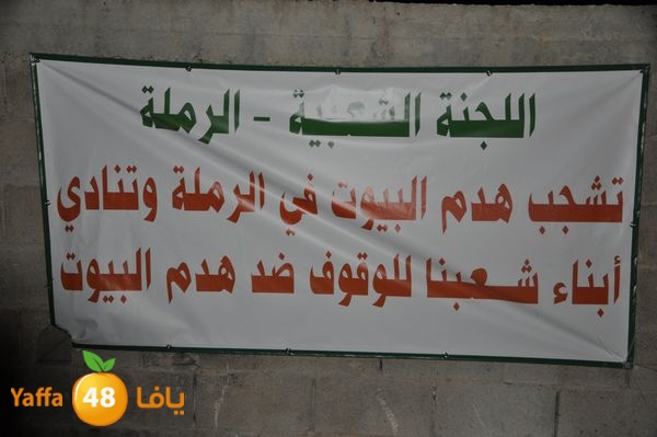 7aimashamaly522 (13).JPG